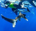 /album/fotogaleria-panama/panama-31-jpg/